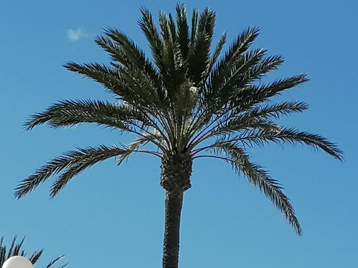 Mirador De Aguamarina Daire Campoamor Dış mekan fotoğraf