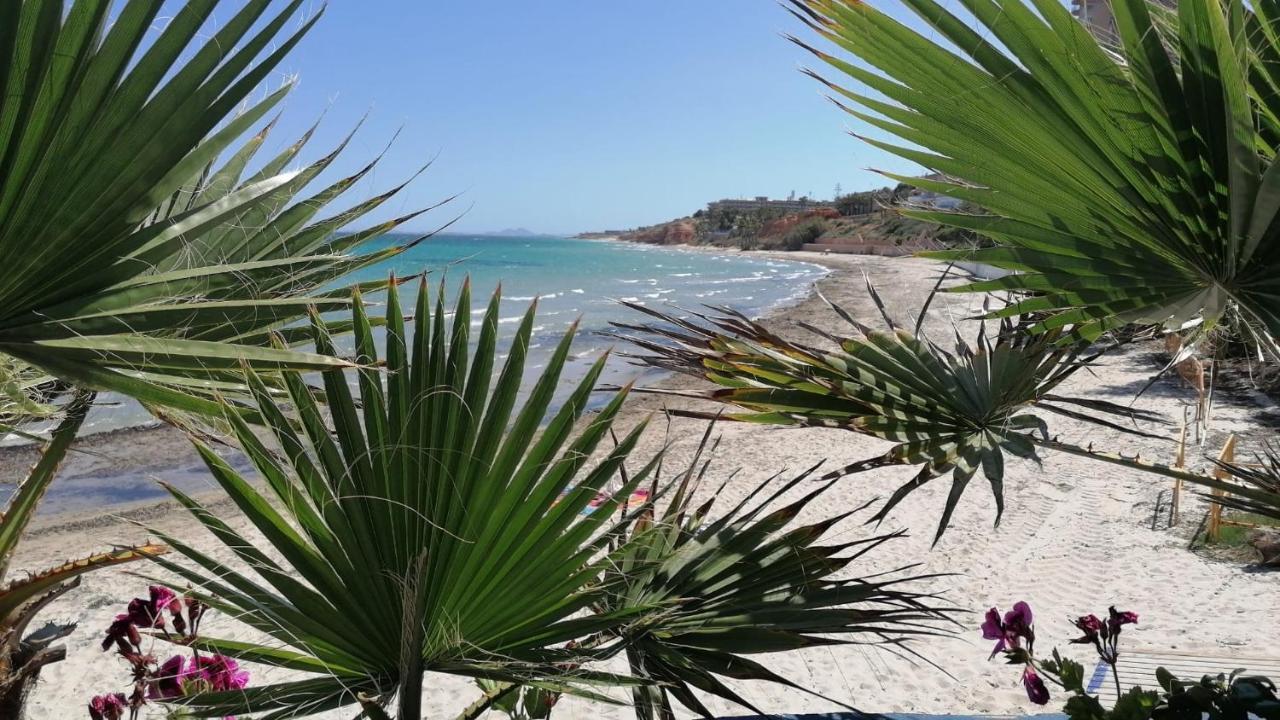 Mirador De Aguamarina Daire Campoamor Dış mekan fotoğraf